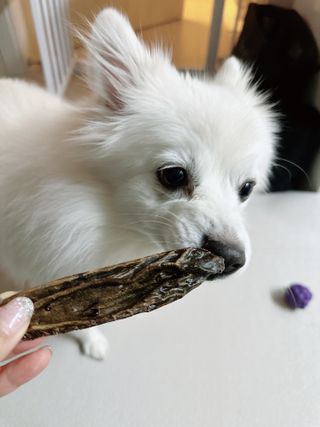 름님이 올린 리뷰 사진 4