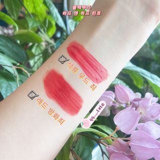 [블랙루즈]하프앤하프틴트 10종 中 택1+랜덤1 — 5점을 준 리뷰어가 2021년 2월 올린 사용 사진