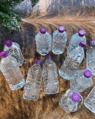 몽베스트 위드어스 1L — 5점을 준 리뷰어가 2023년 1월 올린 사용 사진