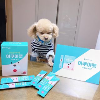 펫시랩 반려견용 액상 프리바이오틱스 아쿠아펫 — 3점을 준 리뷰어가 2020년 12월 올린 사용 사진