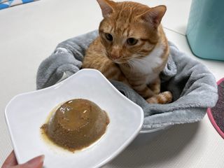 지동님이 올린 리뷰 사진 3