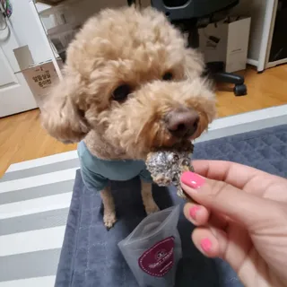 기린짱맘님이 올린 리뷰 사진 3