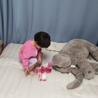 신오리님이 올린 리뷰 사진 1