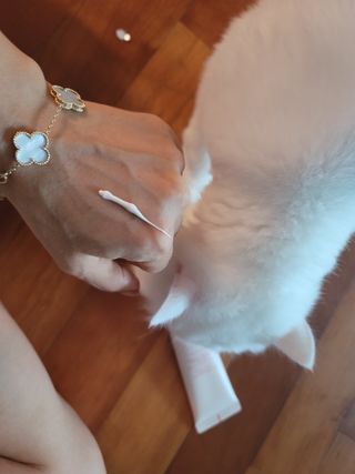 딸셋맘님이 올린 리뷰 사진 4