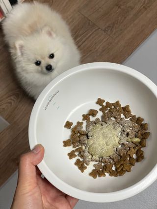 핸감자님이 올린 리뷰 사진 3