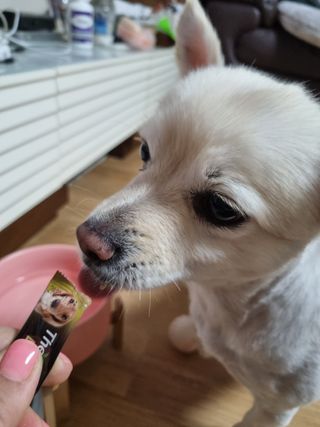 임예슬님이 올린 리뷰 사진 4