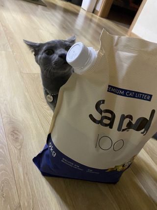 뚜덩맘님이 올린 리뷰 사진 1