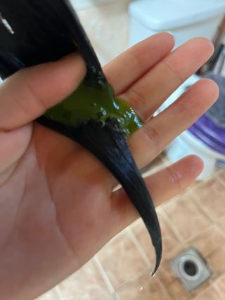 문채연님이 올린 리뷰 사진 4