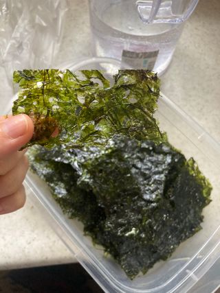 [해림맛김] 들기름에 구운 바삭바삭 김 4종 세트 + 1종 랜덤발송 총5개입 — 5점을 준 리뷰어가 2021년 2월 올린 사용 사진