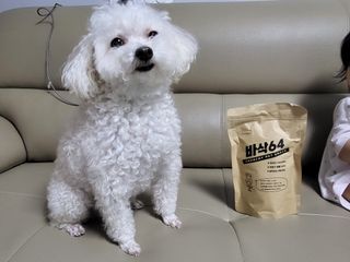 [보헤리] 국내산 강아지 육포간식 바삭 64 2종 — 5점을 준 리뷰어가 2022년 3월 올린 사용 사진