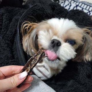 베베츄님이 올린 리뷰 사진 3