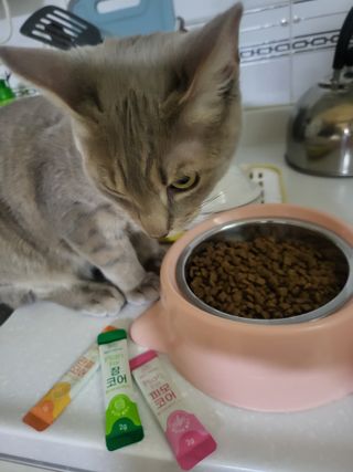 김주사랑님이 올린 리뷰 사진 4