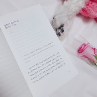 삼숑이맘님이 올린 리뷰 사진 3
