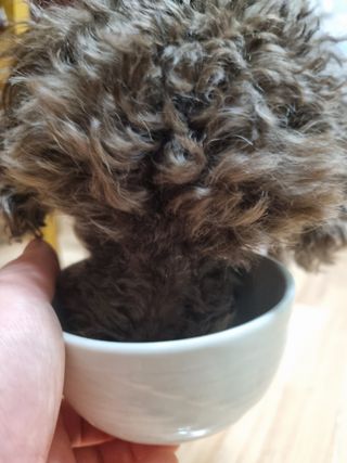 깨비님이 올린 리뷰 사진 3