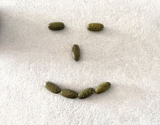 노블리스님이 올린 리뷰 사진 4