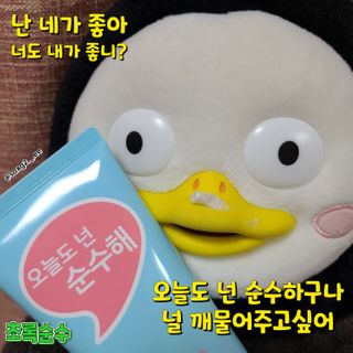 IO 아이오 오늘도 넌 순수해 - 약산성 클렌징폼 — 5점을 준 리뷰어가 2021년 2월 올린 사용 사진