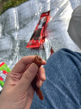 수피님이 올린 리뷰 사진 3