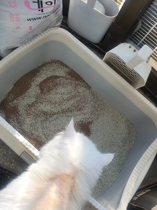 poochi님이 올린 리뷰 사진 3