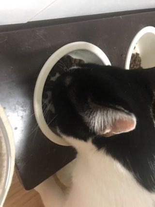 오필리뷰님이 올린 리뷰 사진 2