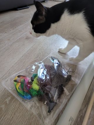 홍시님이 올린 리뷰 사진 2