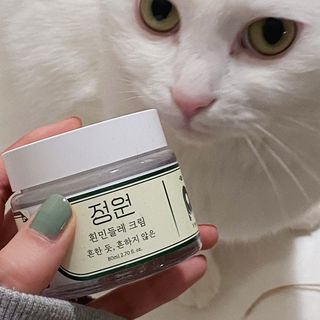 ㄹ진님이 올린 리뷰 사진 3