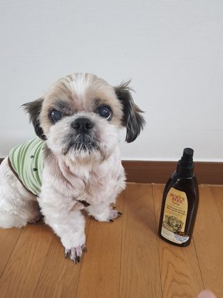 민우다빈이맘님이 올린 리뷰 사진 1