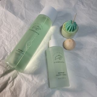 뫙님님이 올린 리뷰 사진 2