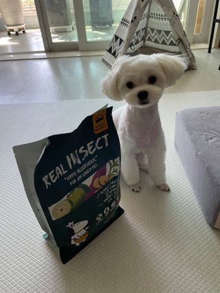 sooa님이 올린 리뷰 사진 1
