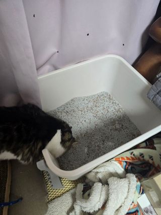 소댕님이 올린 리뷰 사진 1
