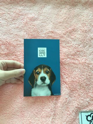 콩이님이 올린 리뷰 사진 2