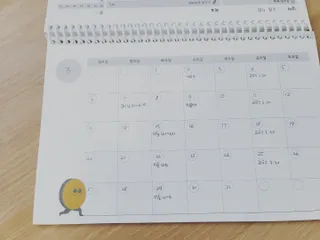 리훈 차일드라이크 워킹스마일 초등학생 스터디 플래너 — 5점을 준 리뷰어가 2022년 3월 올린 사용 사진