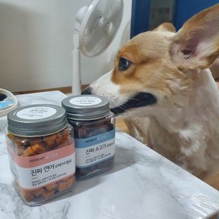 페페로니 진짜 오메가3 연어+소고기 180g+180g — 5점을 준 리뷰어가 2021년 7월 올린 사용 사진