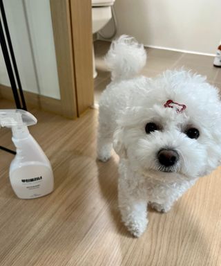 비니주니맘 :D님이 올린 리뷰 사진 2