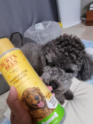 지나짱님이 올린 리뷰 사진 2