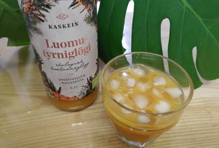 H365 [Kaskein Luomutyrniglögi] 핀란드 전통 무알콜 멀드와인 시벅톤 글로기 — 4점을 준 리뷰어가 2021년 5월 올린 사용 사진