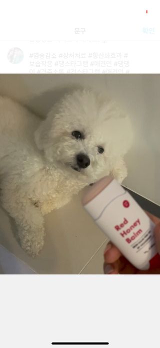 [레드허니밤]자유펫 고양이 강아지 발바닥 밤 14g — 5점을 준 리뷰어가 2021년 11월 올린 사용 사진