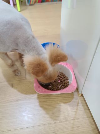 다솜이마마님이 올린 리뷰 사진 4
