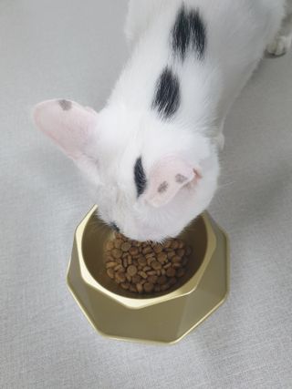 귀욤뽀짝센스쟁이님이 올린 리뷰 사진 2