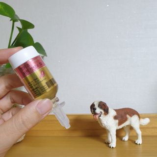 무지조타 반려동물용 꽃으로만든영양제 헬리코디펜스 15ml — 5점을 준 리뷰어가 2021년 8월 올린 사용 사진