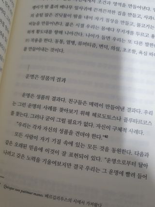 madsanta님이 올린 리뷰 사진 4