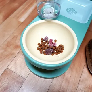씽크라이크펫 큐브생식 1kg — 5점을 준 리뷰어가 2022년 11월 올린 사용 사진