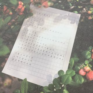 리니콩님이 올린 리뷰 사진 2