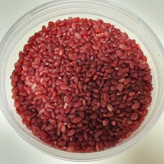 하나로라이스 기능성쌀 5종 1kg  환경을 생각한 다회용 용기 사용 — 4점을 준 리뷰어가 2022년 1월 올린 사용 사진