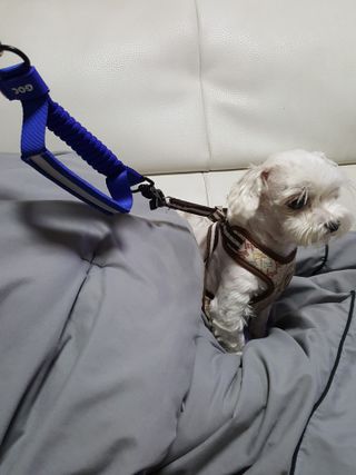 둥가둥가우리도도님이 올린 리뷰 사진 4