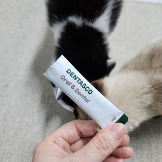 숑이님이 올린 리뷰 사진 2