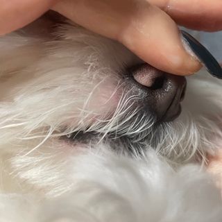 행복한최슨생님이 올린 리뷰 사진 2