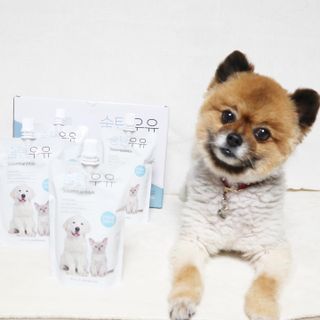 꿀냥이님이 올린 리뷰 사진 1