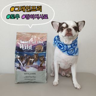 mini unni님이 올린 리뷰 사진 1