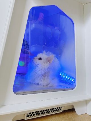 사라비비님이 올린 리뷰 사진 3