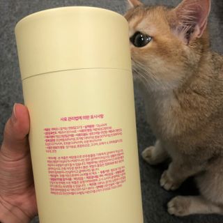페페로니 잘 먹는 캣츄 - 무항생제 닭고기 24개입 — 5점을 준 리뷰어가 2021년 7월 올린 사용 사진